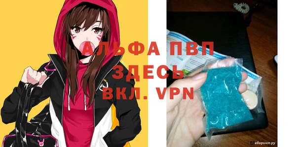 ешки Бородино