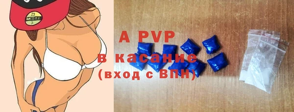 стаф Богданович