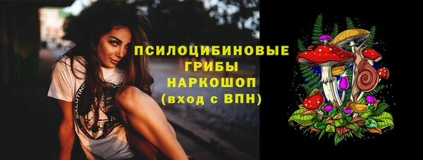 стаф Богданович