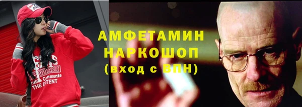 ешки Бородино