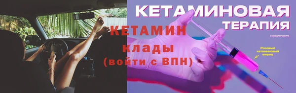 стаф Богданович