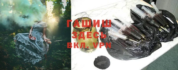 ешки Бородино