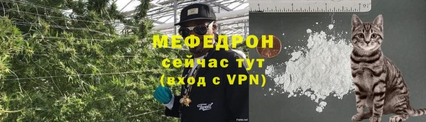 ешки Бородино