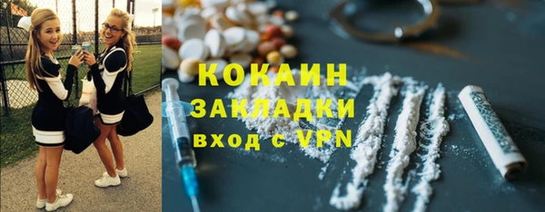 ешки Бородино