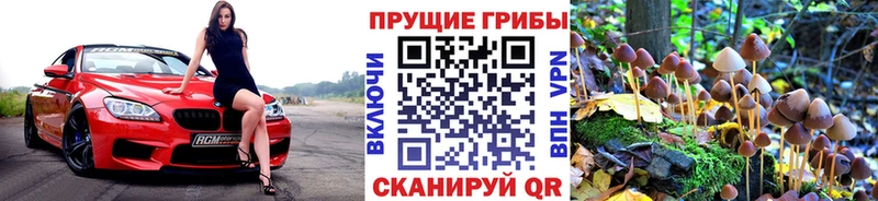 Галлюциногенные грибы MAGIC MUSHROOMS  Купить где  Киселёвск 